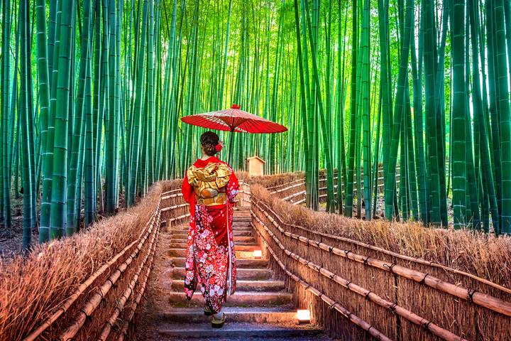 Japan, Great Discovery by Wingbuddy - 13 Days, Tokyo to Osaka Review - Ise, Nachi, and the Kumano pilgrimage route