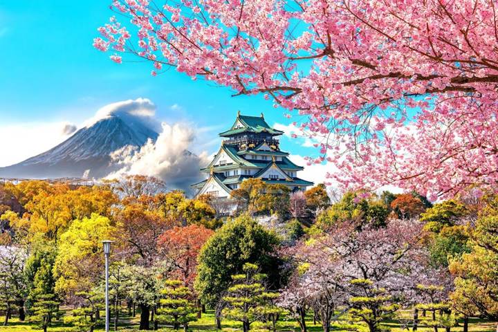 Japan Highlights by Bullet Train: Tokyo, Kyoto & Osaka with Wanderful Holidays - Hiroshima and Miyajima: a worthwhile, costly extra