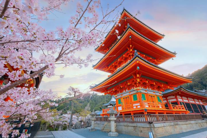 Japan Highlights by Intrepid Travel - 9-Day Tokyo to Osaka Tour Review - Kyoto gives you room to choose your own sights
