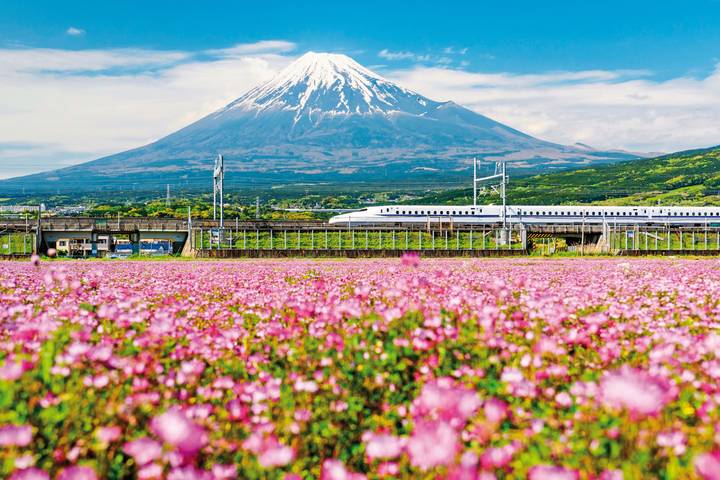 Japan Highlights (incl. flight) by MEIERS WELTREISEN - 11-Day Tour Review - Shinkansen to Himeji, then on to Takayama