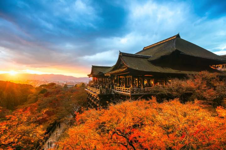 Japan in a Nutshell Private Tour by Firebird Tours - 8 Days Review - Five details to know before you book