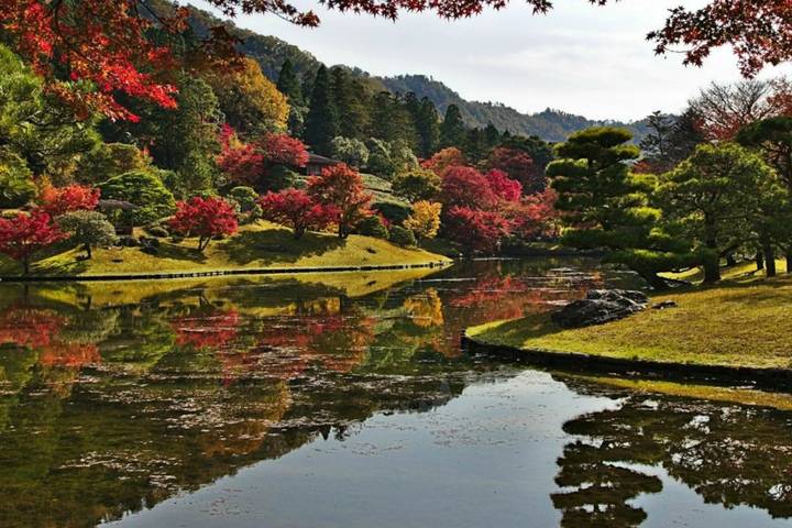 Japan in a Nutshell Private Tour by Firebird Tours - 8 Days Review - Day 7: Kyoto’s palace, bamboo grove, and tea