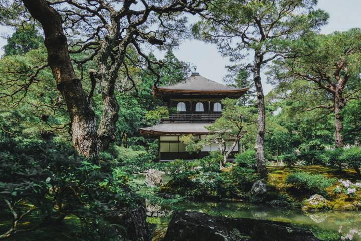 Japan in a Nutshell Private Tour by Firebird Tours - 8 Days Review - Hotels, guides, and getting around