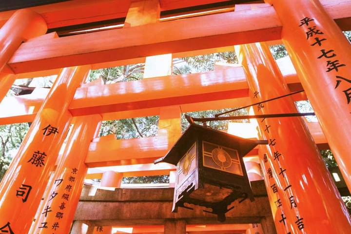 Japan in a Week by Contiki - 8-Day Tokyo to Osaka Tour Review - Tokyo’s Temples, Fashion and Crossing