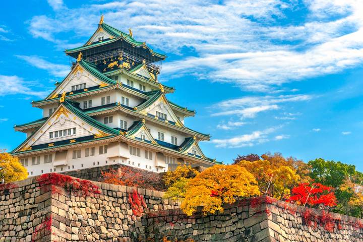 Japan in a Week by Contiki - 8-Day Tokyo to Osaka Tour Review - Osaka’s Food Stops and a Flexible Final Day