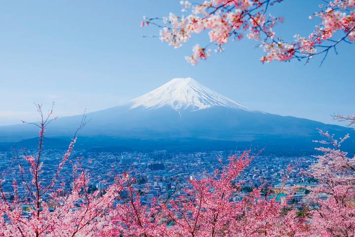 Japan In-Depth by SKR Reisen - 16-Day Tokyo to Osaka Tour Review - A route built around contrasts