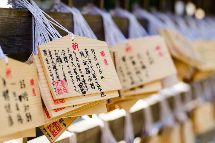 Japan In-Depth by SKR Reisen - 16-Day Tokyo to Osaka Tour Review - Transport, meals and what the price covers