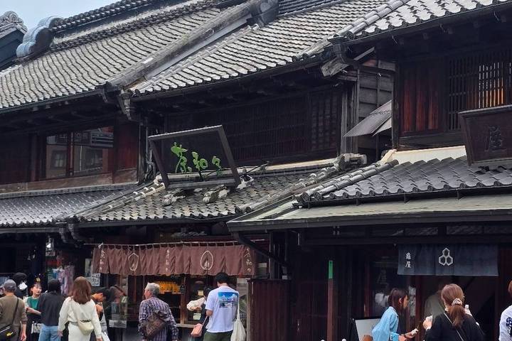 Japan In-Depth Cherry Blossom Tour by Tweet World Travel - 13 Days Review - Tokyo starts with temples, parks and a river ride