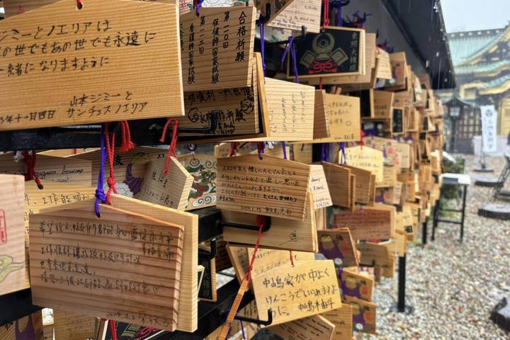 Japan In-Depth Cherry Blossom Tour by Tweet World Travel - 13 Days Review - Takayama, Shirakawa-go and Kanazawa offer a change of scale