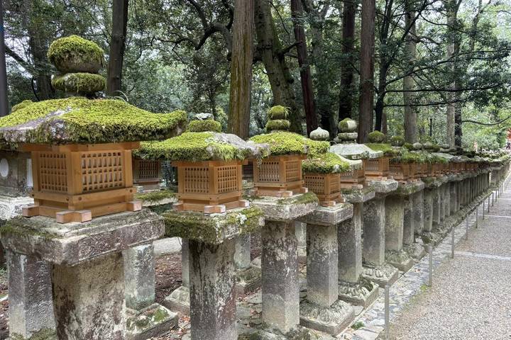 Japan In-Depth Cherry Blossom Tour by Tweet World Travel - 13 Days Review - Hiroshima and Miyajima balance remembrance with island calm