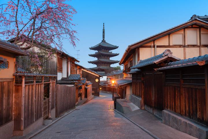 Japan In-Depth Cherry Blossom Tour by Tweet World Travel - 13 Days Review - Who should book this spring route?