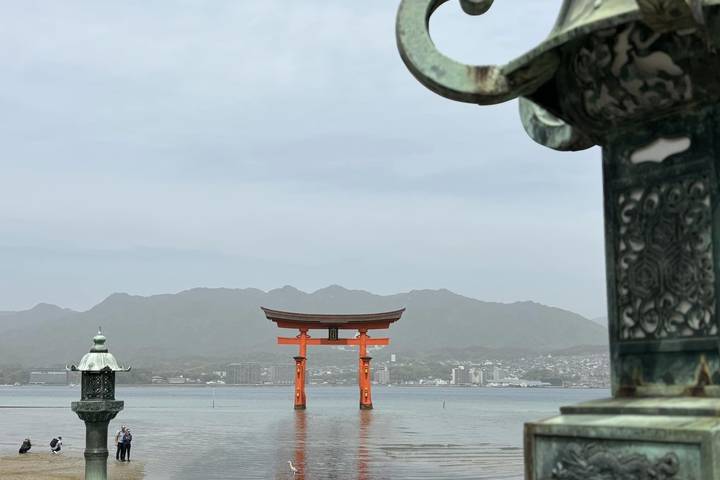 Japan In-Depth Cherry Blossom Tour by Tweet World Travel - 13 Days Review - Nikko and Hakone trade city streets for mountain air