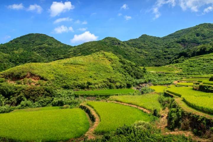 Japan In Depth - Footsteps of the Shogun by Explore! - 12-Day Tour Review - Who will get the most from this route?