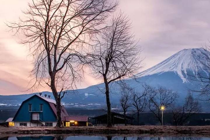 Japan In Depth - Footsteps of the Shogun by Explore! - 12-Day Tour Review - Kyoto: geisha arts, gardens and shogun power