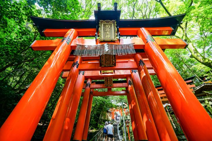Japan in Winter by Train (Plus Ski) with Contiki - 14-Day Tour Review - Kyoto: temples, gardens and time to wander