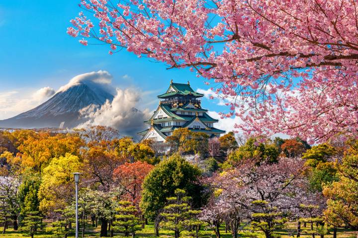 Japan in Winter by Train (Plus Ski) with Contiki - 14-Day Tour Review - What the price covers, and what it doesn’t