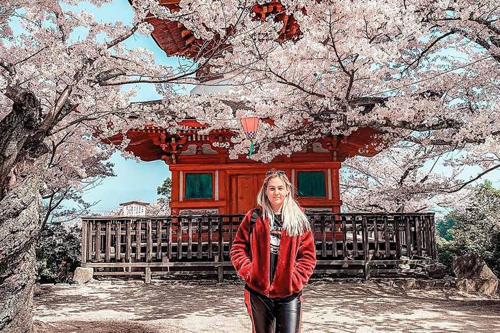 Japan in Winter by Train (Without Ski) with Contiki - 10-Day Tour Review - Osaka: a lively start, with Nara as an option