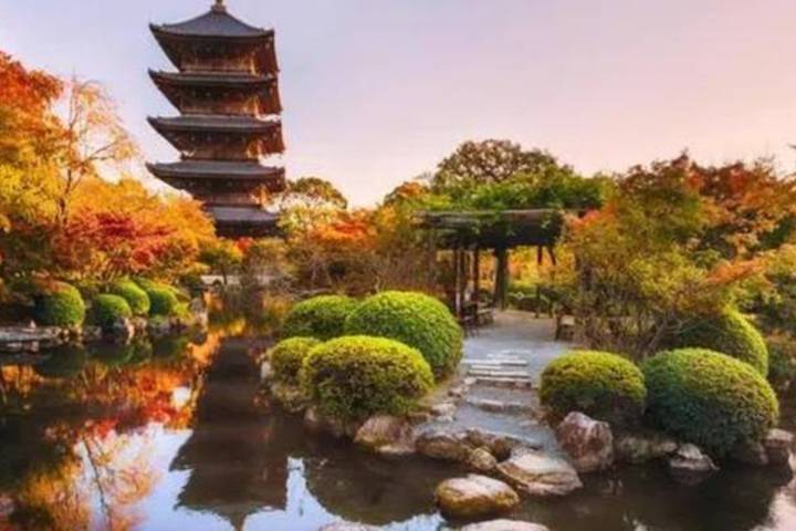 Japan & Korea Must sees by Vio Travel - 11-Day Tokyo to Seoul Tour Review - Tokyo starts at your own pace