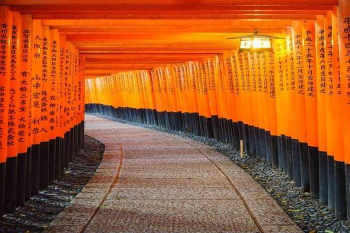 Japan & Korea Must sees by Vio Travel - 11-Day Tokyo to Seoul Tour Review - Osaka brings food and a change of pace