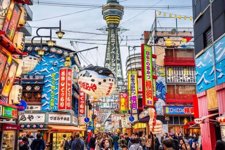 Japan & Korea Must sees by Vio Travel - 11-Day Tokyo to Seoul Tour Review - Who should book this tour?