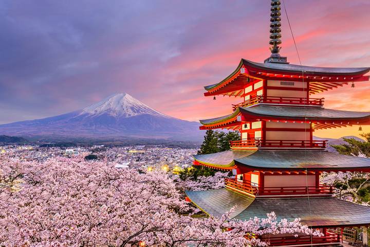 Japan & Korea Must sees by Vio Travel - 11-Day Tokyo to Seoul Tour Review - FAQ