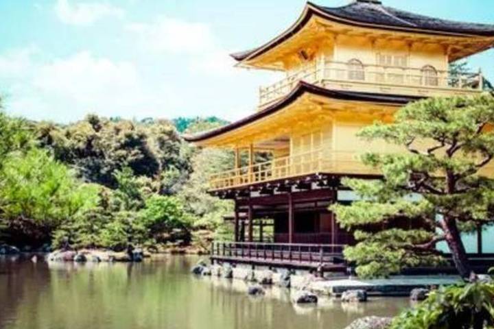 Japan & Korea Must sees by Vio Travel - 11-Day Tokyo to Seoul Tour Review - Fuji’s views depend on the weather