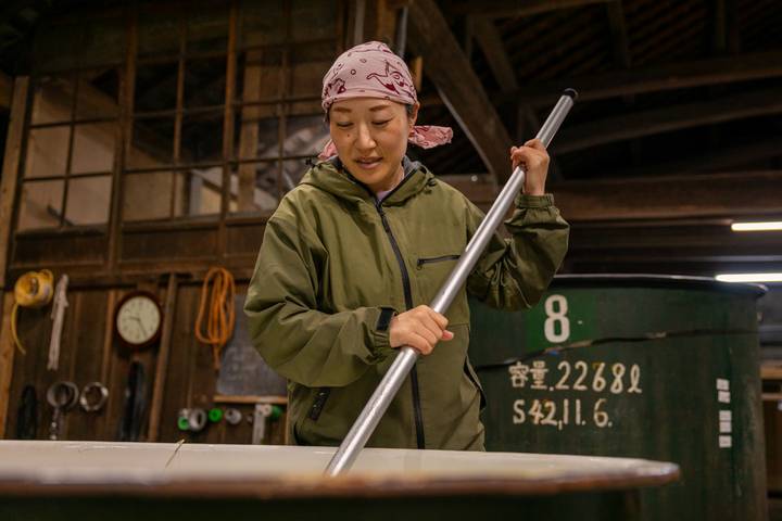 Japan: Land of the Rising Sun - Takayama slows the pace, then the rail days pick up