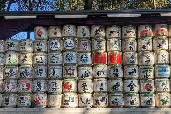 Japan Plus 11-Day Culture Tour: Golden Route & Beyond by The Dragon Trip - Osaka ends with shopping, lights and a group meal