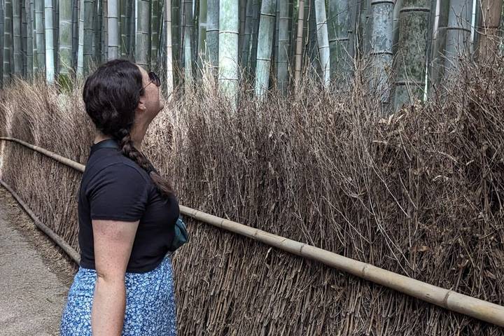 Japan Plus 11-Day Culture Tour: Golden Route & Beyond by The Dragon Trip - What the price covers, and what you pay for separately