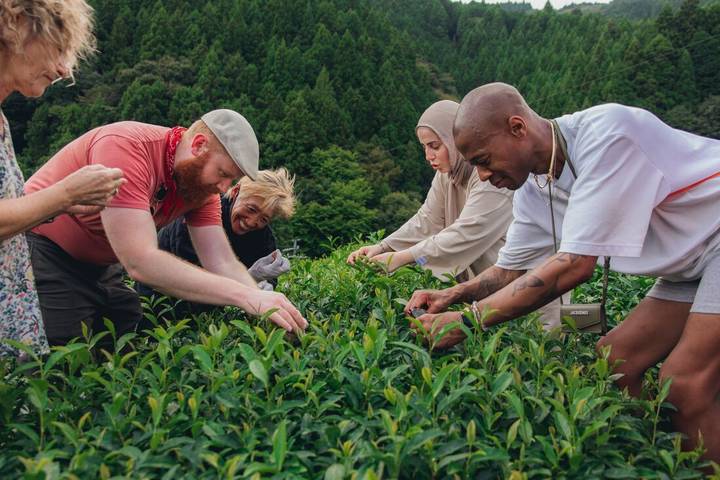 Japan Real Food Adventure by Intrepid Travel - 11 Days, Tokyo to Osaka Review - FAQ