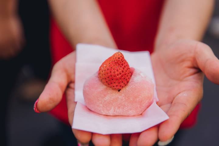 Japan Real Food Adventure by Intrepid Travel - 11 Days, Tokyo to Osaka Review - Kanazawa’s garden, market and home kitchen