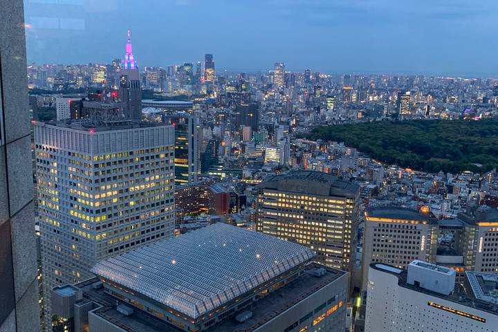 Japan Revealed by Just You - 10-Day Tokyo to Kobe Tour Review - A fast, varied route across Honshu