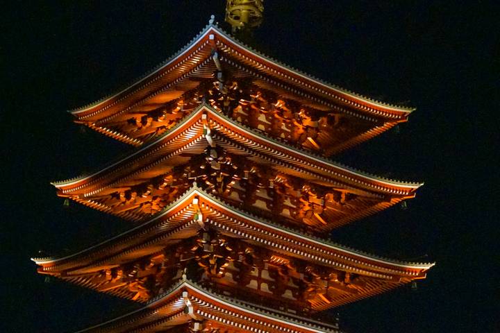 Japan Revealed by Just You - 10-Day Tokyo to Kobe Tour Review - Tokyo’s towers, temples and river at night