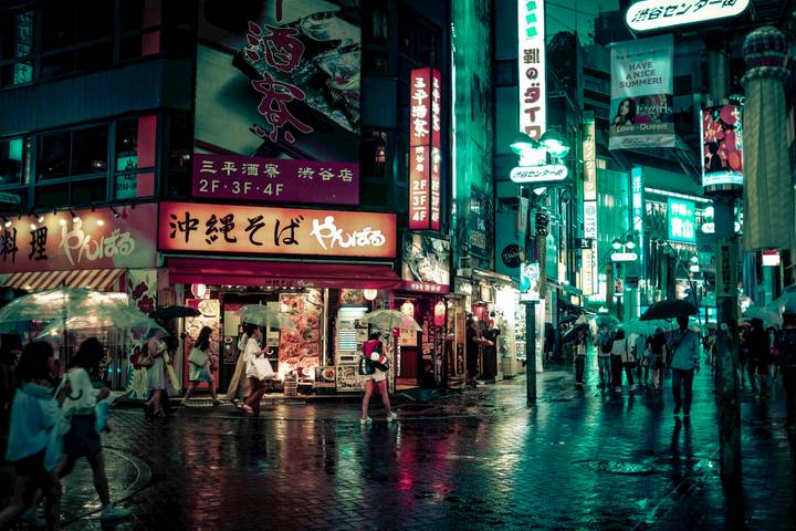 Japan Revealed by Just You - 10-Day Tokyo to Kobe Tour Review - Nara’s Buddha and an evening in Osaka