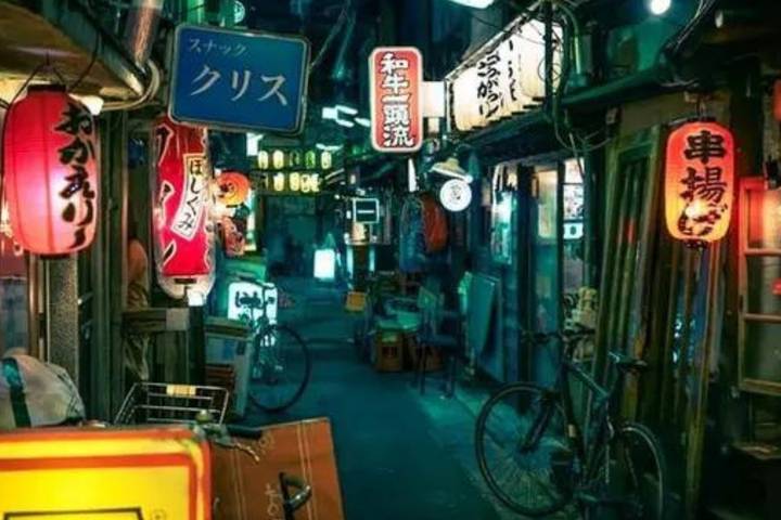 Japan's Big Four 11 Days by Vio Travel - Tokyo to Hiroshima Tour Review - Kyoto: the best temple day, with limited time at each stop