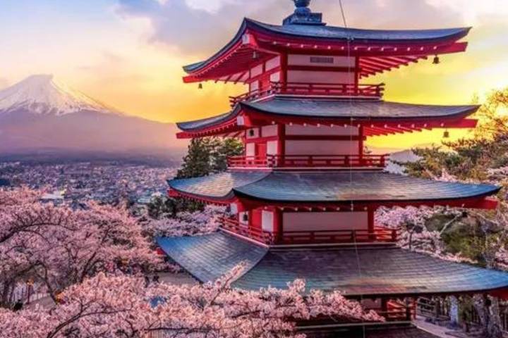 Japan's Big Four 11 Days by Vio Travel - Tokyo to Hiroshima Tour Review - What $2,689 buys, and what it does not