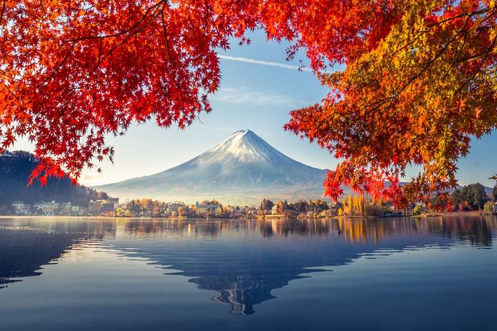 Japan's Landscapes and Mount Fuji by Europamundo - 15-Day Tour Review - Kyoto, Nara, and Osaka’s landmark circuit