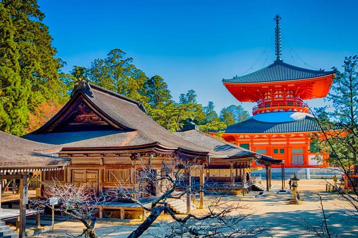 Japan's Landscapes by Europamundo - 14-Day Tour from Tokyo Review - Nikko and the return to Tokyo