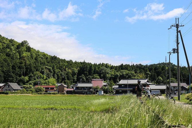 Japan's Rural Life & Nature: Private Half Day Cycling Near Kyoto - A guide who makes the countryside easier to read