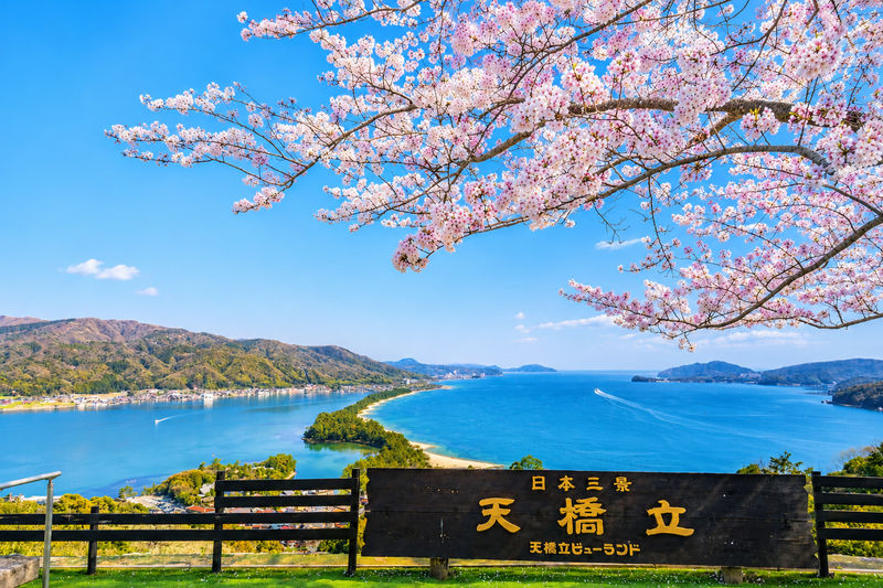 Japan's Three Scenic Views & Kyoto by the Sea: Amanohashidate Cable Car + Ine Bay Boat Tour Day Trip (Departing from Osaka or Kyoto) - The Tango Railway adds a change of pace