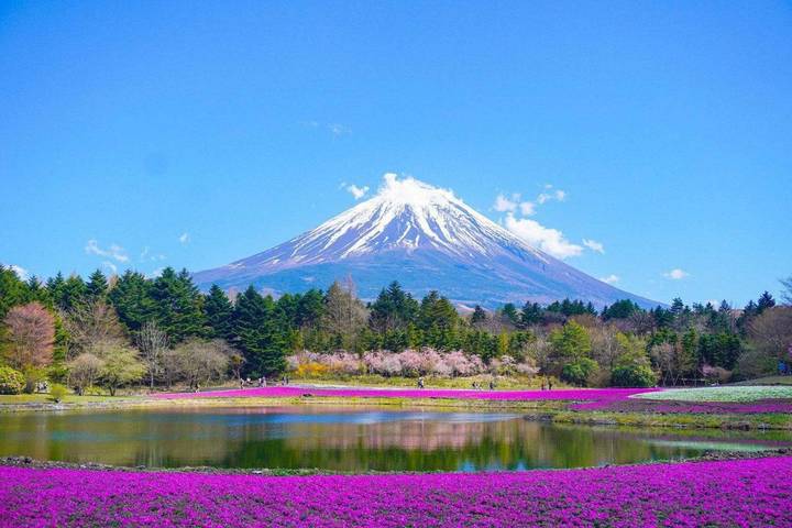 Japan Self-Guided - 12 Nights 3 Star Hotel by Vio Travel Review - Tokyo starts with freedom, then Tsukiji’s food stalls