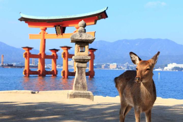 Japan Self-Guided - 12 Nights 3 Star Hotel by Vio Travel Review - What the price covers, and what it leaves to you