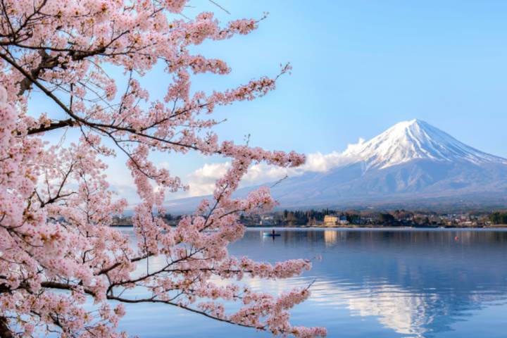 Japan Self-Guided - 12 Nights 3 Star Hotel by Vio Travel Review - Fuji day: fine views, a full schedule