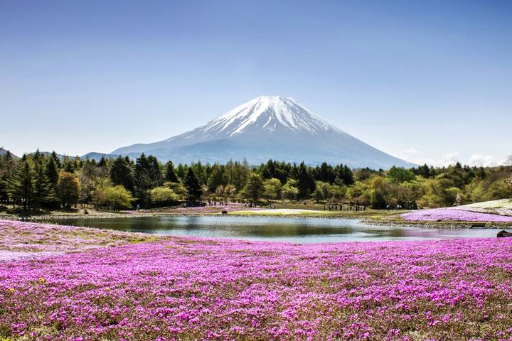 Japan Uncovered - 11 days by On The Go Tours: Tokyo to Osaka Tour Review - Five details that shape the trip