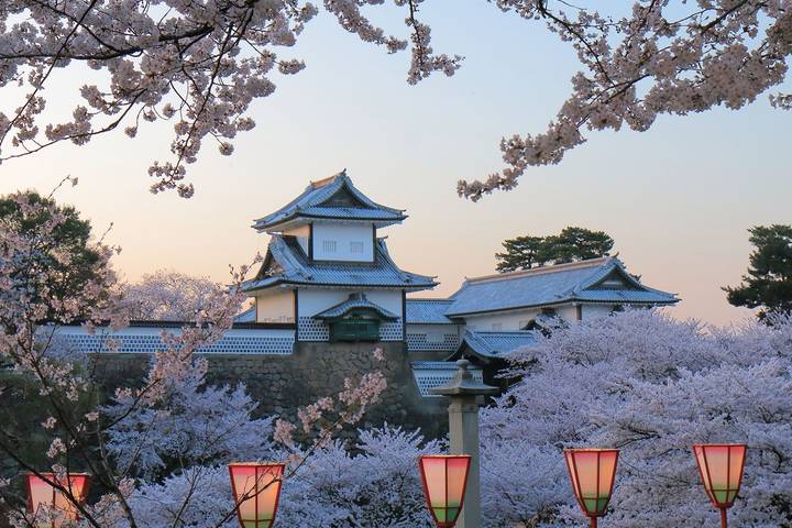 Japan Uncovered - 11 days by On The Go Tours: Tokyo to Osaka Tour Review - What the price covers, and what it does not