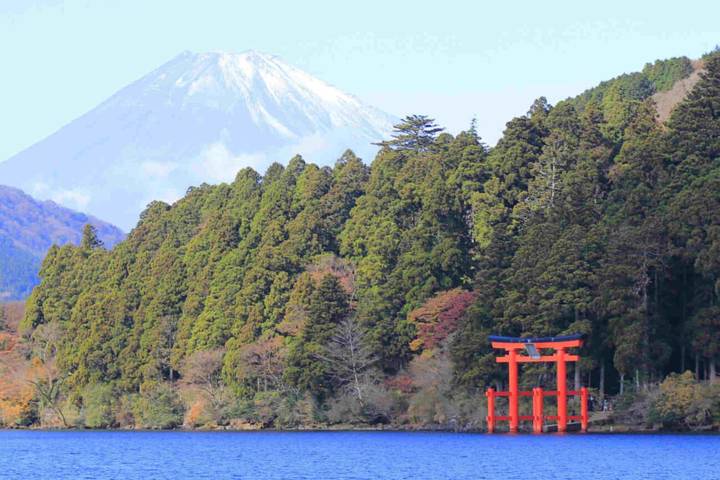 Japan - Unveiled Beyond the Surface by Vio Travel: 8-Day Tour Review - Three cities, one useful travel rhythm