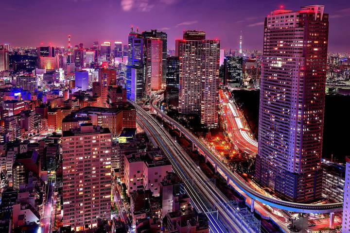 Japan - Unveiled Beyond the Surface by Vio Travel: 8-Day Tour Review - Tokyo begins with room to roam