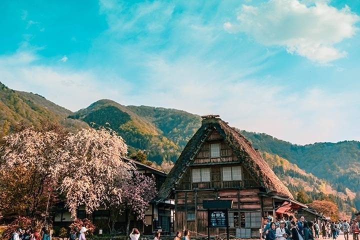 Japan World Heritage by MW Tours - 13-Day Tokyo to Osaka Tour Review - At a glance