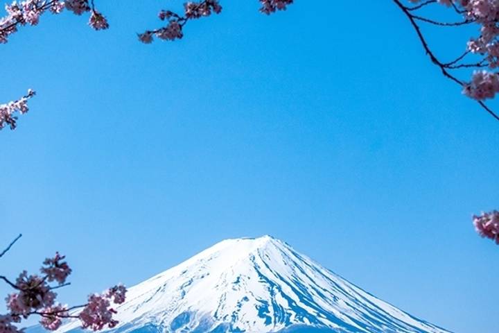 Japan World Heritage by MW Tours - 13-Day Tokyo to Osaka Tour Review - Osaka closes with a guided city walk