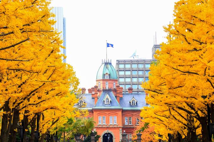 Japanese Scenes and Mount Fuji by Europamundo - 19-Day Tour Review - Should you book this Japan tour?